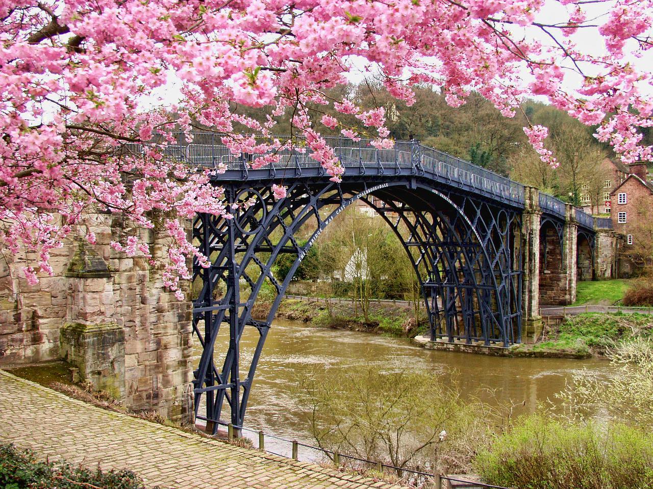 Walking alongside the river at ironbridge on is one of the best free things to do in particularly when blossom is in bloom as in this image with pink blossom in the foreground by the bridge