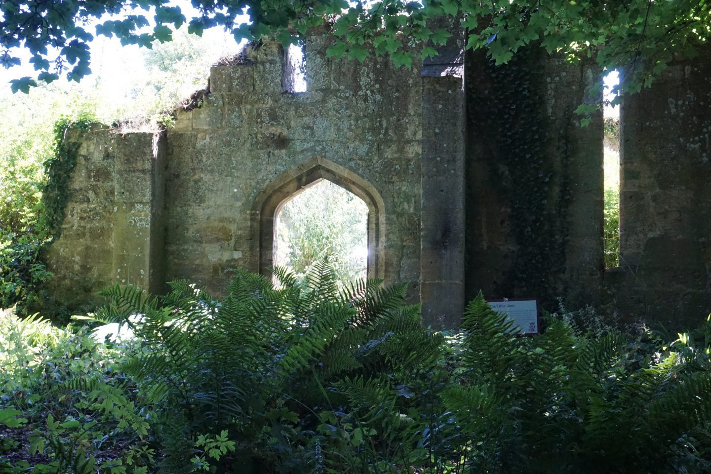 Ruins at Sudeley Castle viewed from among trees along the path