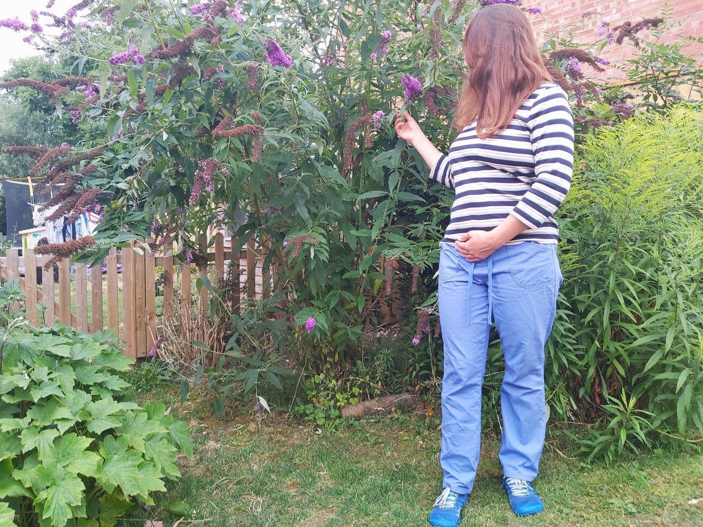 Adult female wearing bright blue Cotton traders wrinkle free trousers and stripey top standing in a garden looking away from the camera at a buddleia bush