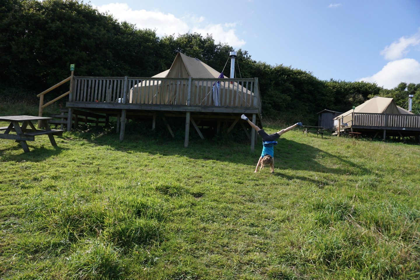 Bell tent at the YHA Eden Project Campsite with grass in foreground and high hedge and blue sky in background