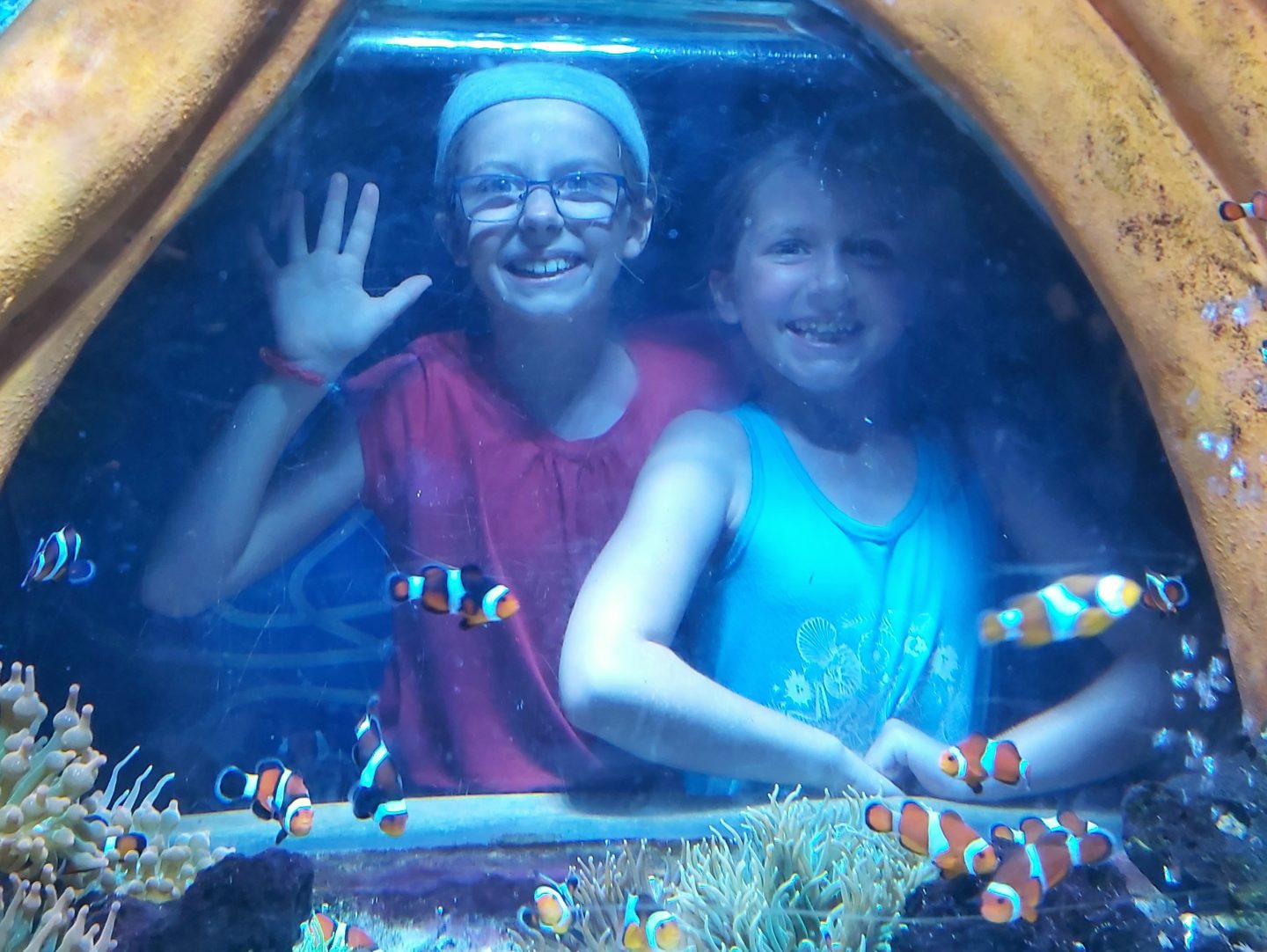 Two girls inside a clownfish tank display in the Sea Life Centre Great Yarmouth