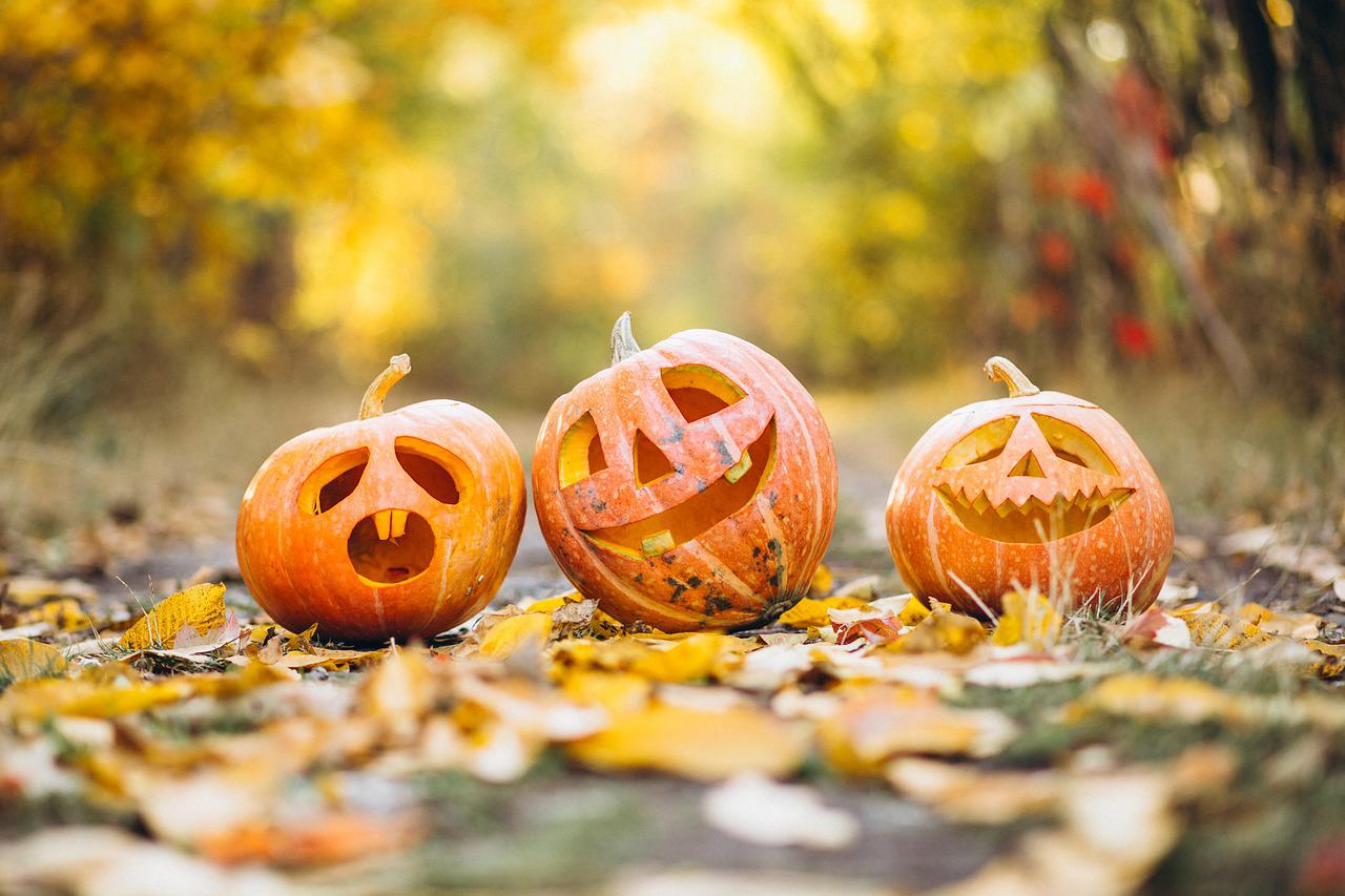 Three carved pumpkins displayed outdoors on autumn leaves with sunlight in background representing October half term and Halloween events Shropshire 2022