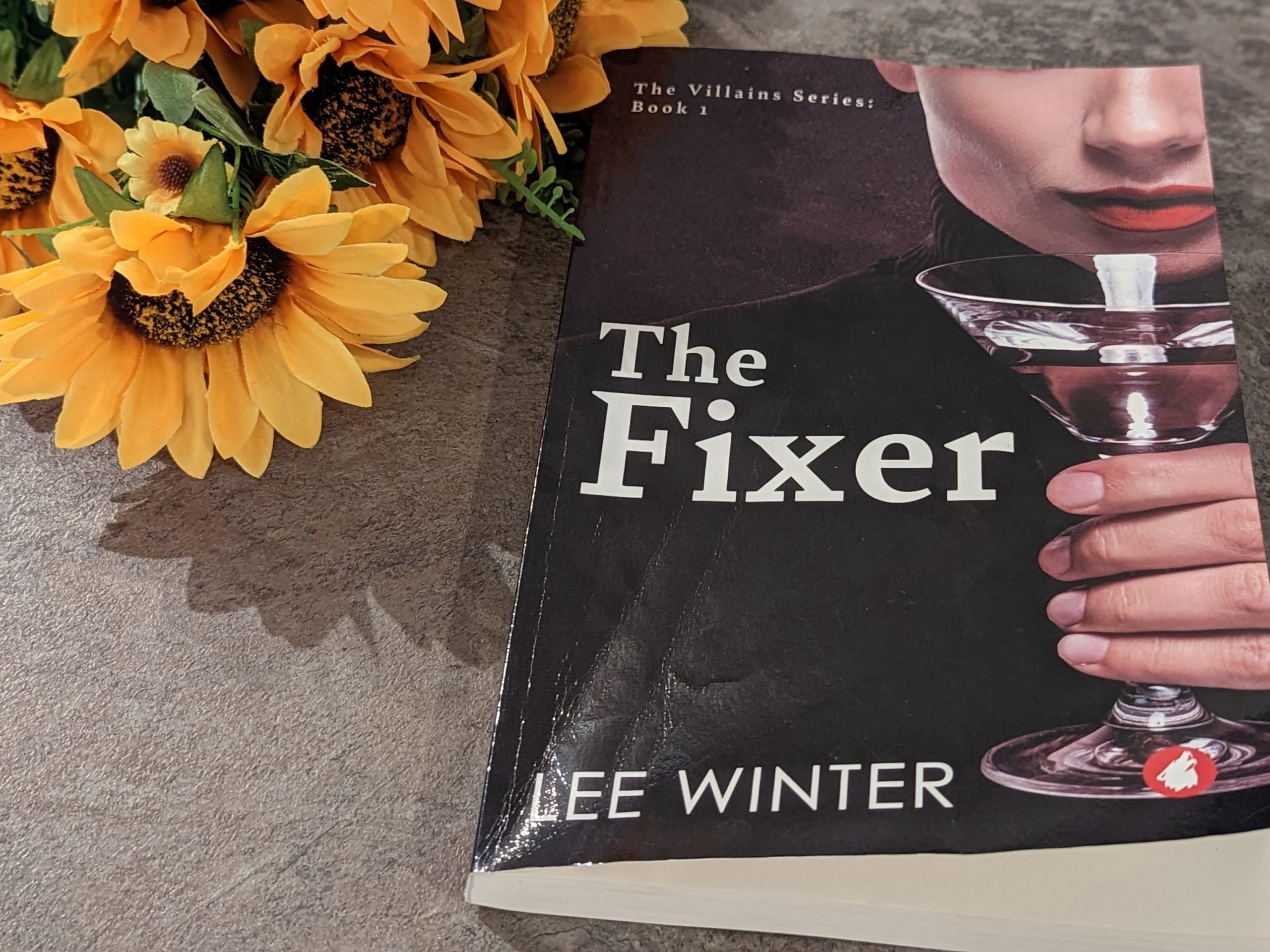 The Fixer by Lee Winter: Review