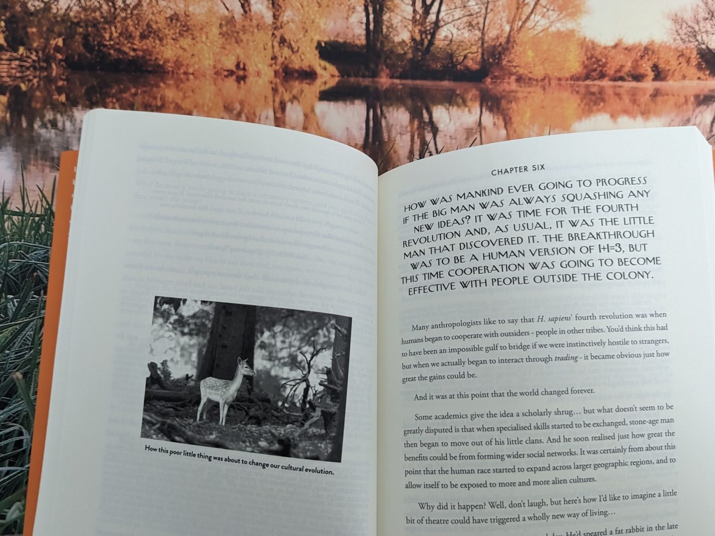 Pages from How Did We Get To Be So Different by SS O'Connor including  writing and an image of a deer