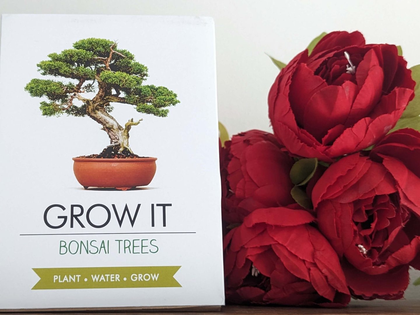 Grow It Bonsai Tree Kit in a white box displayed beside red flowers next to a white wall