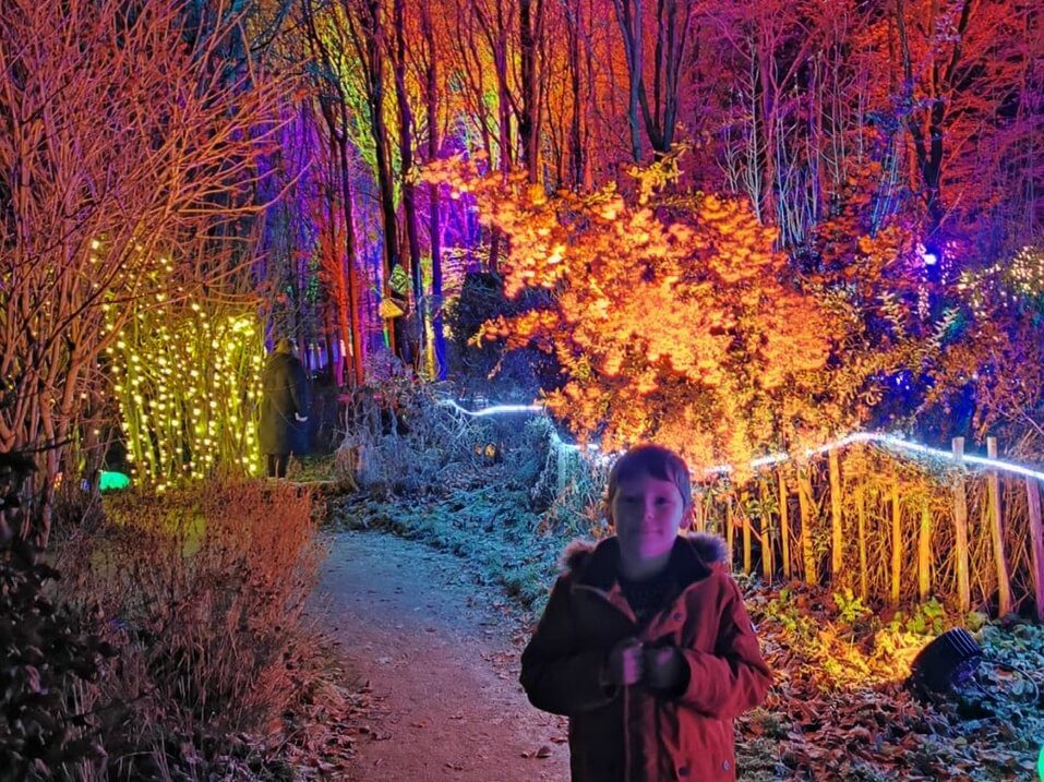 Boy standing among brightly lit trees on the Cotswold Farm Park Enchanted Light Trail