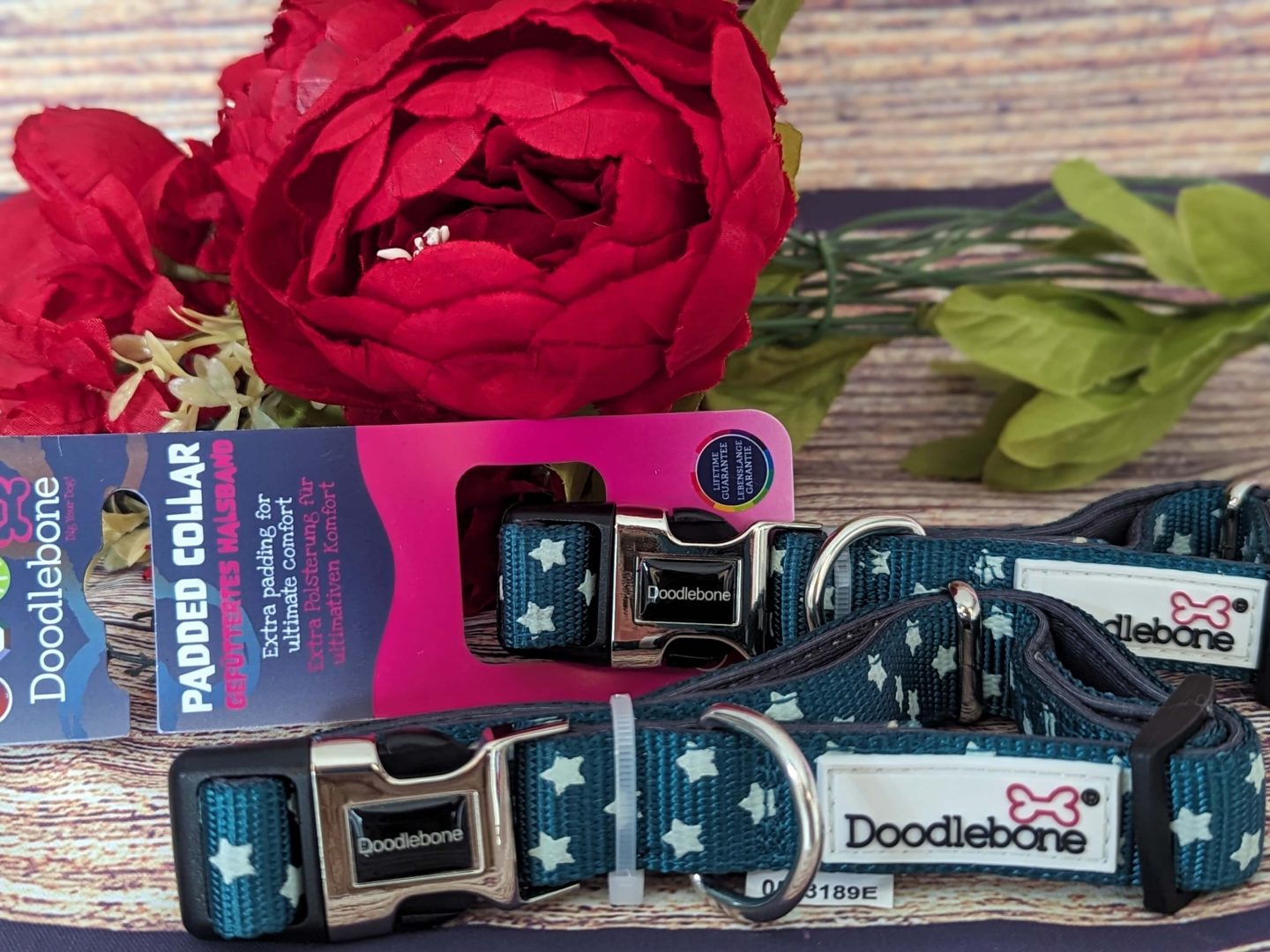 Turquoise doodlebone dog collars with white stars displayed on a wooden backdrop beside red flowers