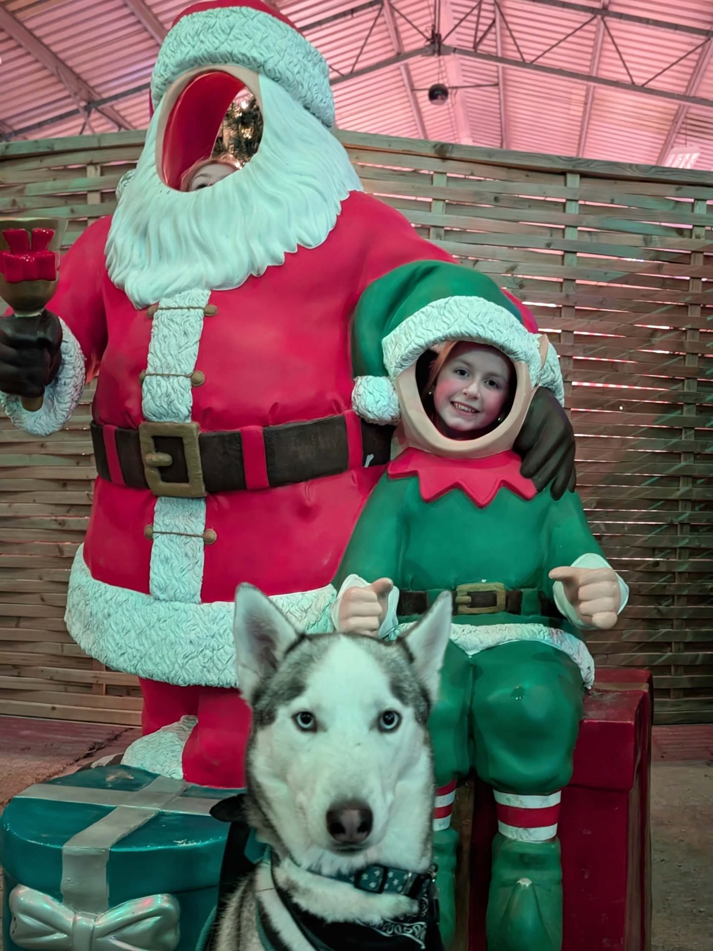 Two girls posing as Santa and an elf at Winter Glow with a confused looking husky sitting in front of them