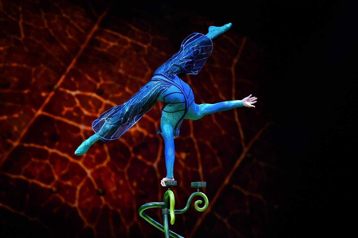Ovo Cirque du Soleil performer balancing upside down on one hand dressed in blue