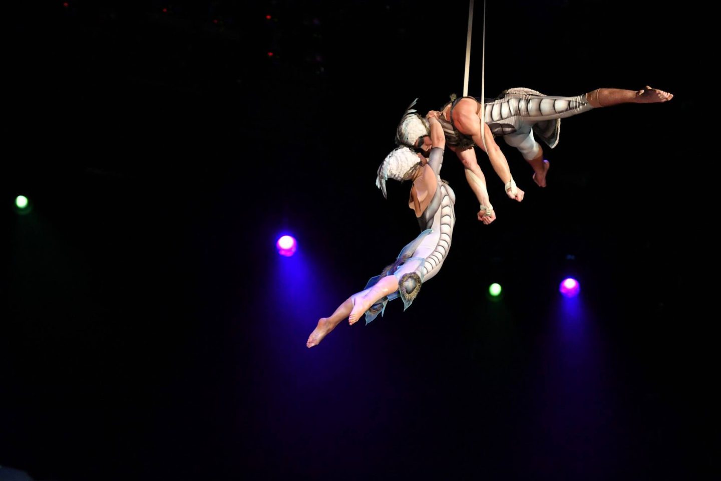Ovo Cirque du Soleil performers hanging from ropes