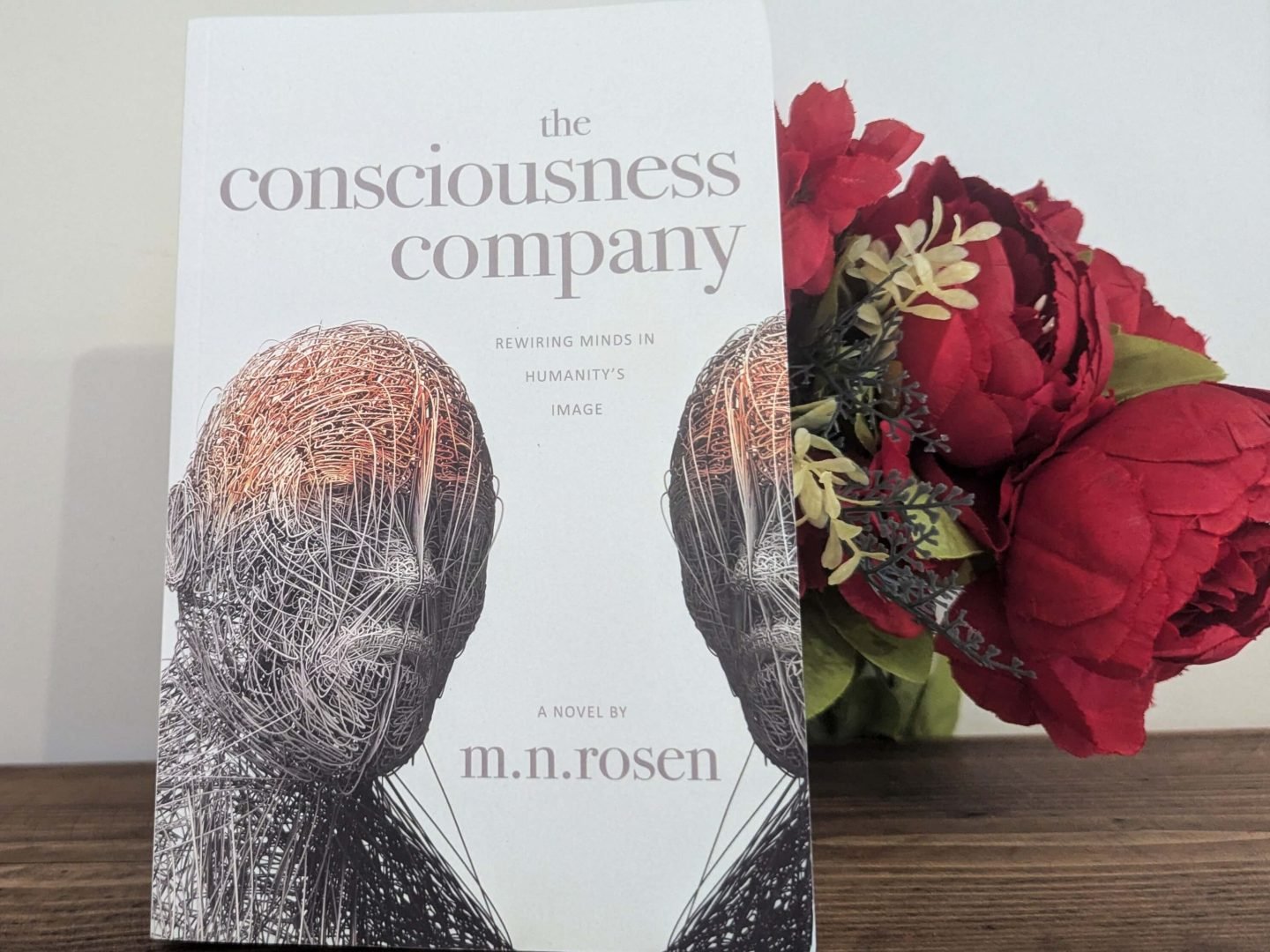 The Consciousness Company book