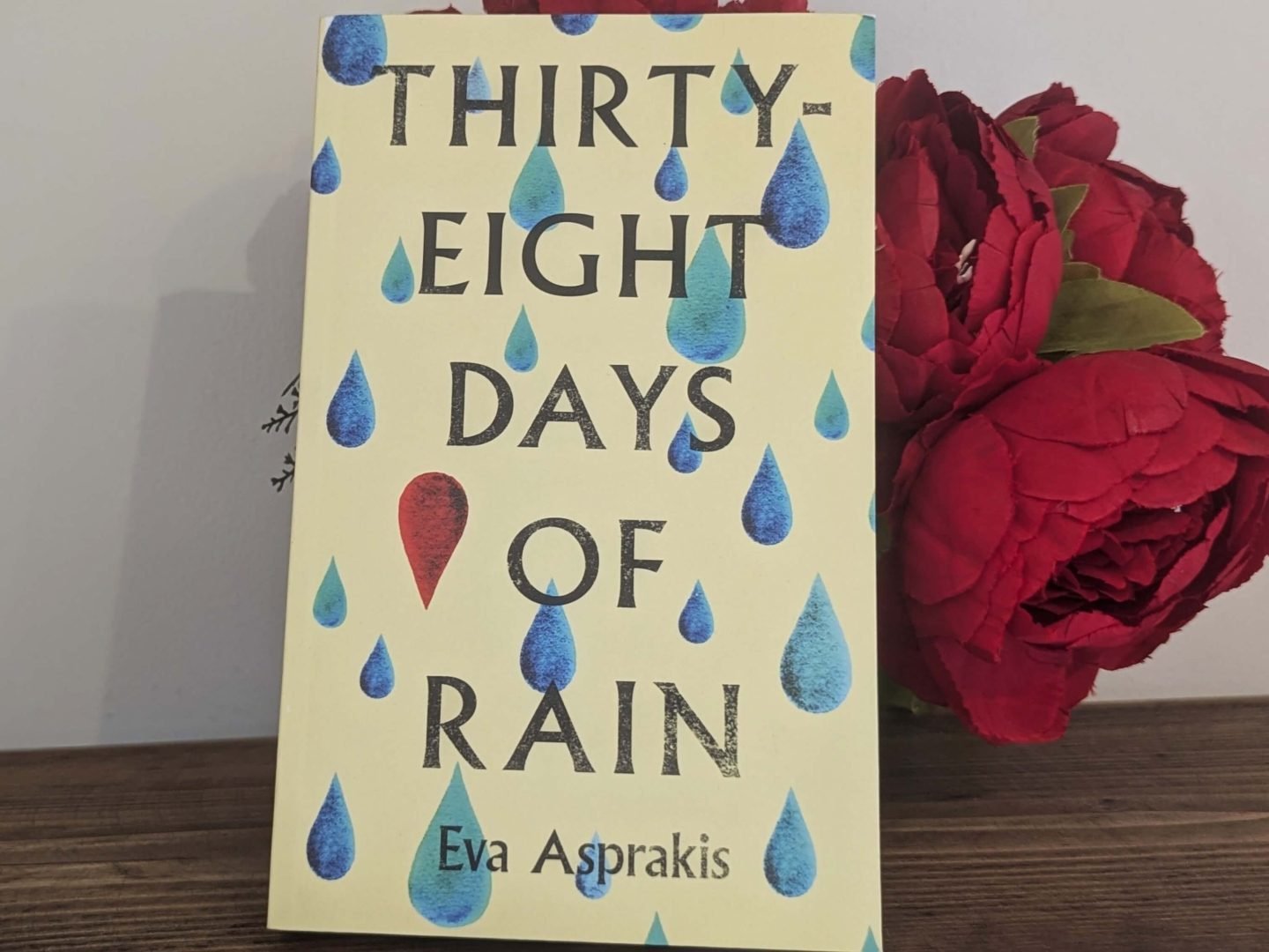 Thirty Eight Days of Rain book