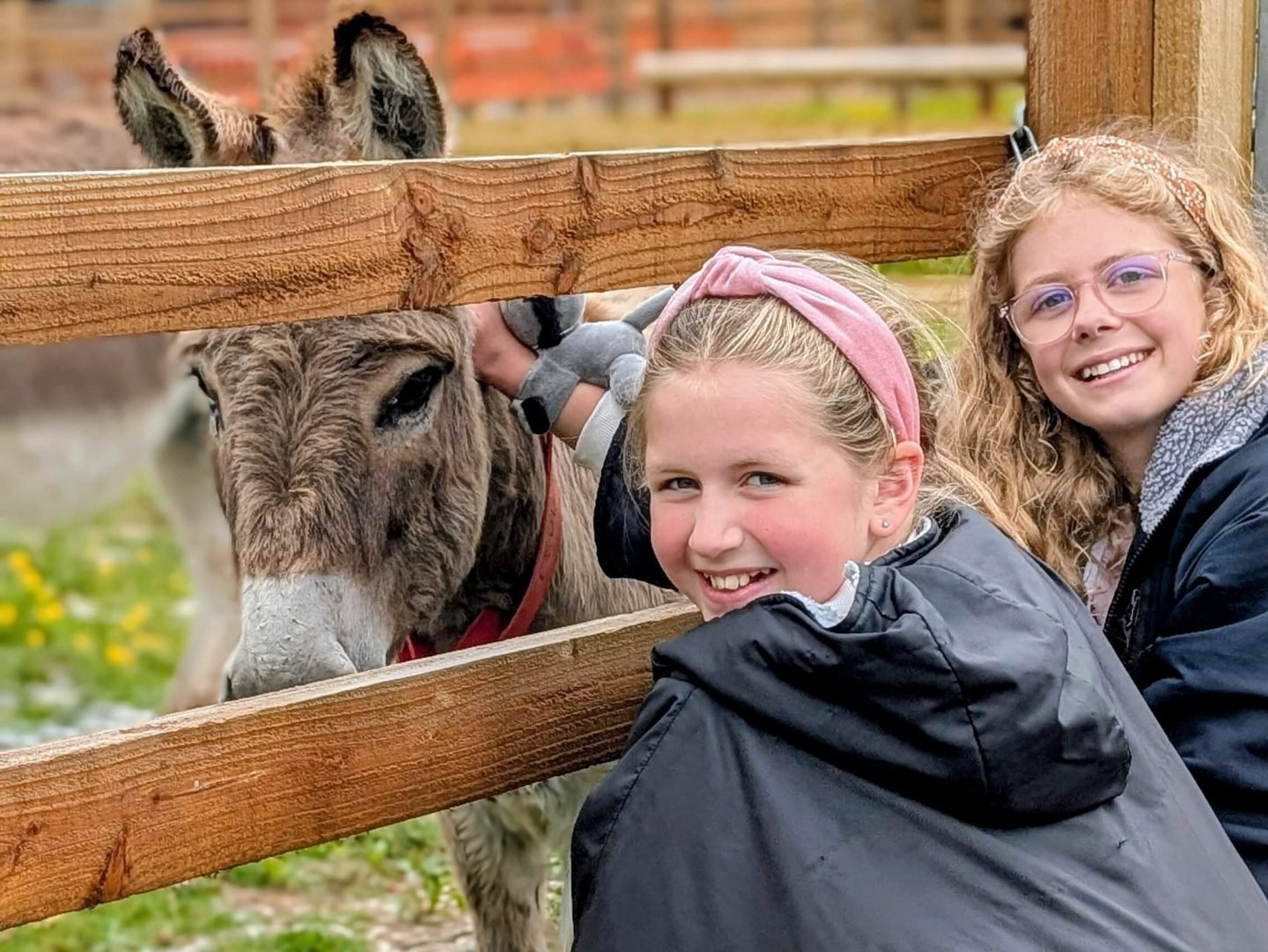 Two girls standing beside a fence stroking a donkey on the other side of the fence