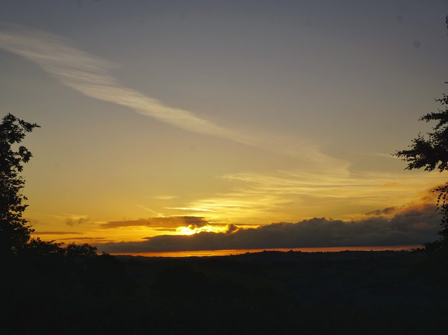 Sunset viewed between two trees with a warm yellow sky at dusk