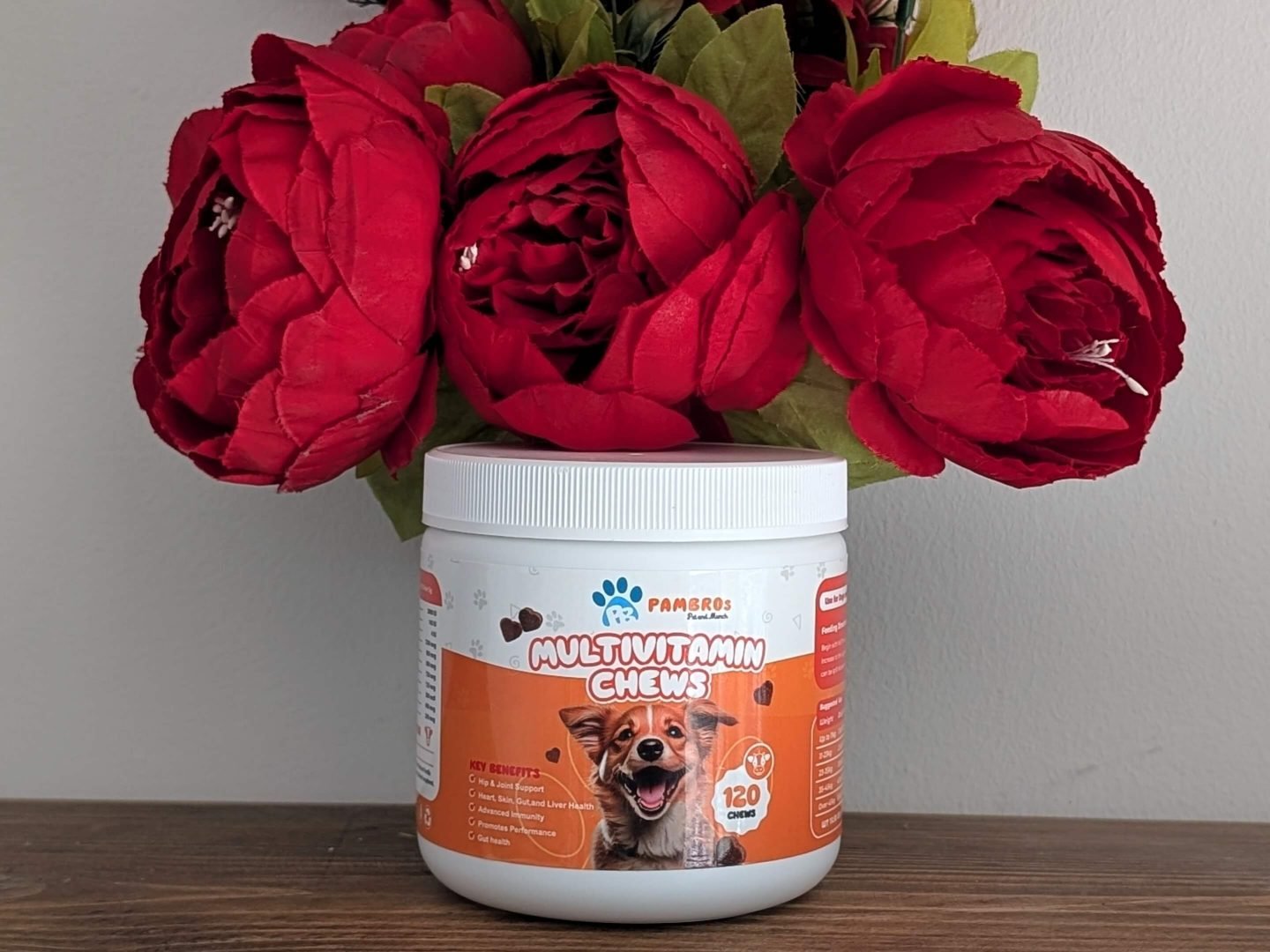 multivitamin chews for dogs displayed in front of red Christmas flowers on a wooden shelf