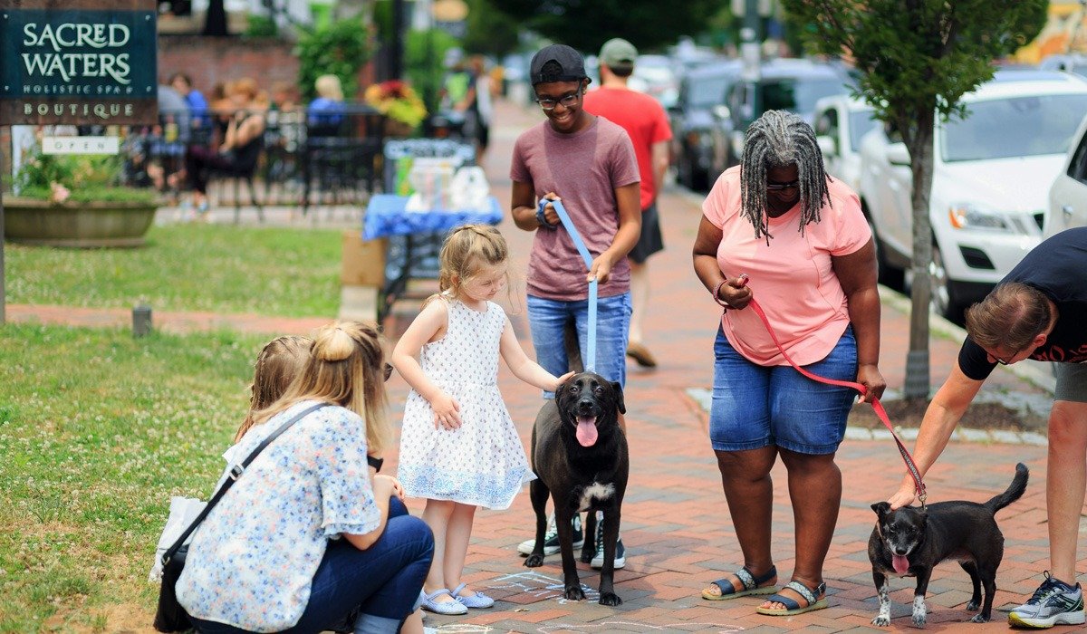 People petting dogs at a community event