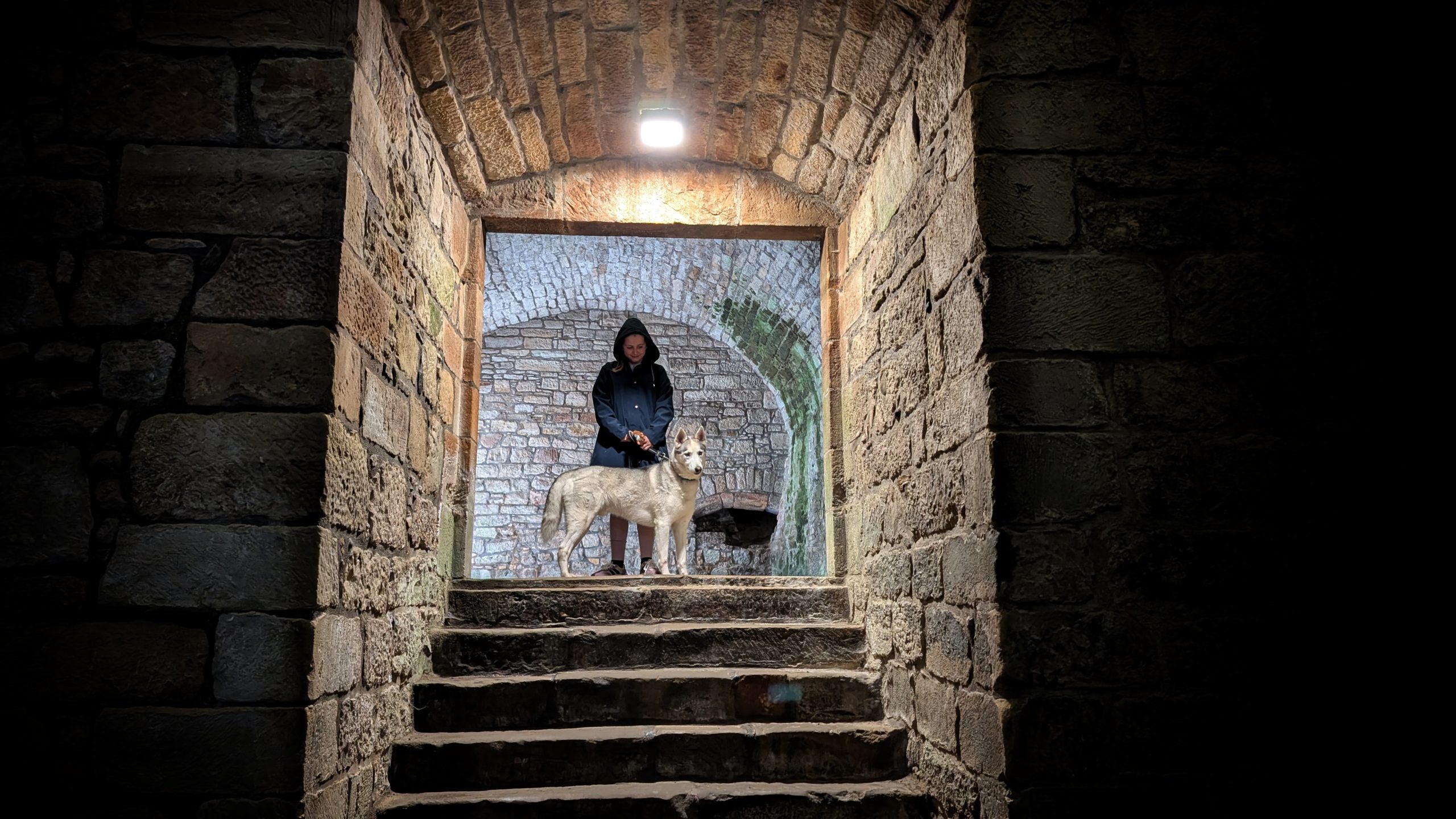 Girl at the top of the stairs with a big hood up like on Traitors - steps are in dog friendly Linlithgow palace and the girl is holding a husky on the lead