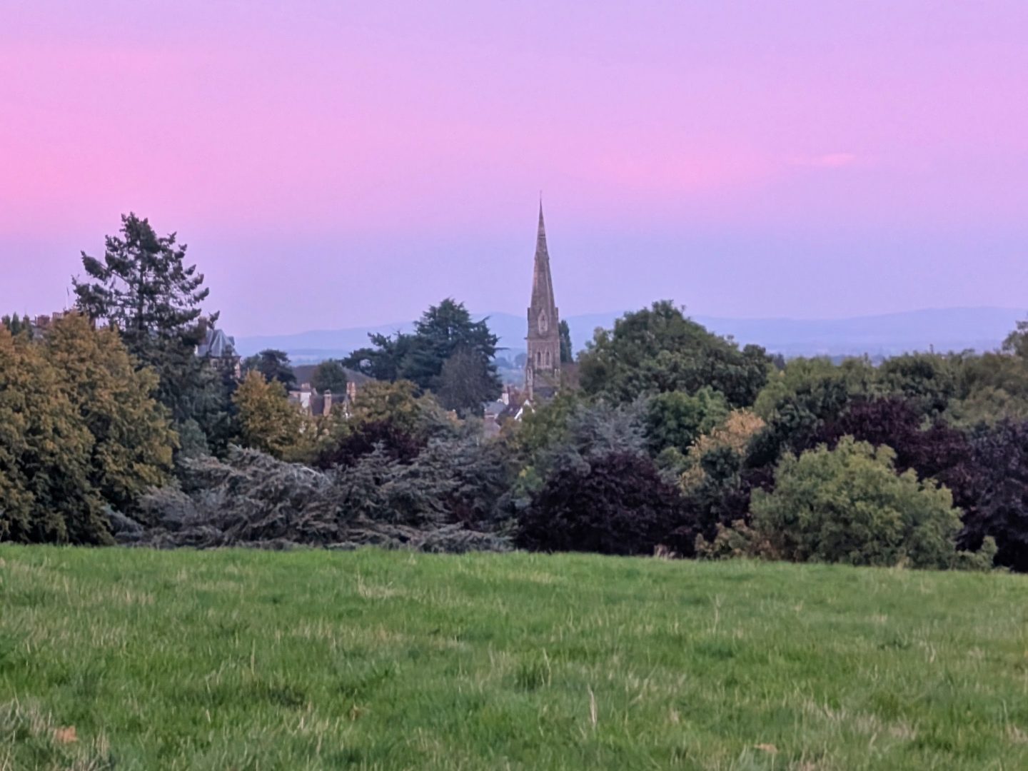 Peachfield common dog walk near to Poolbrook Kitchen & Café