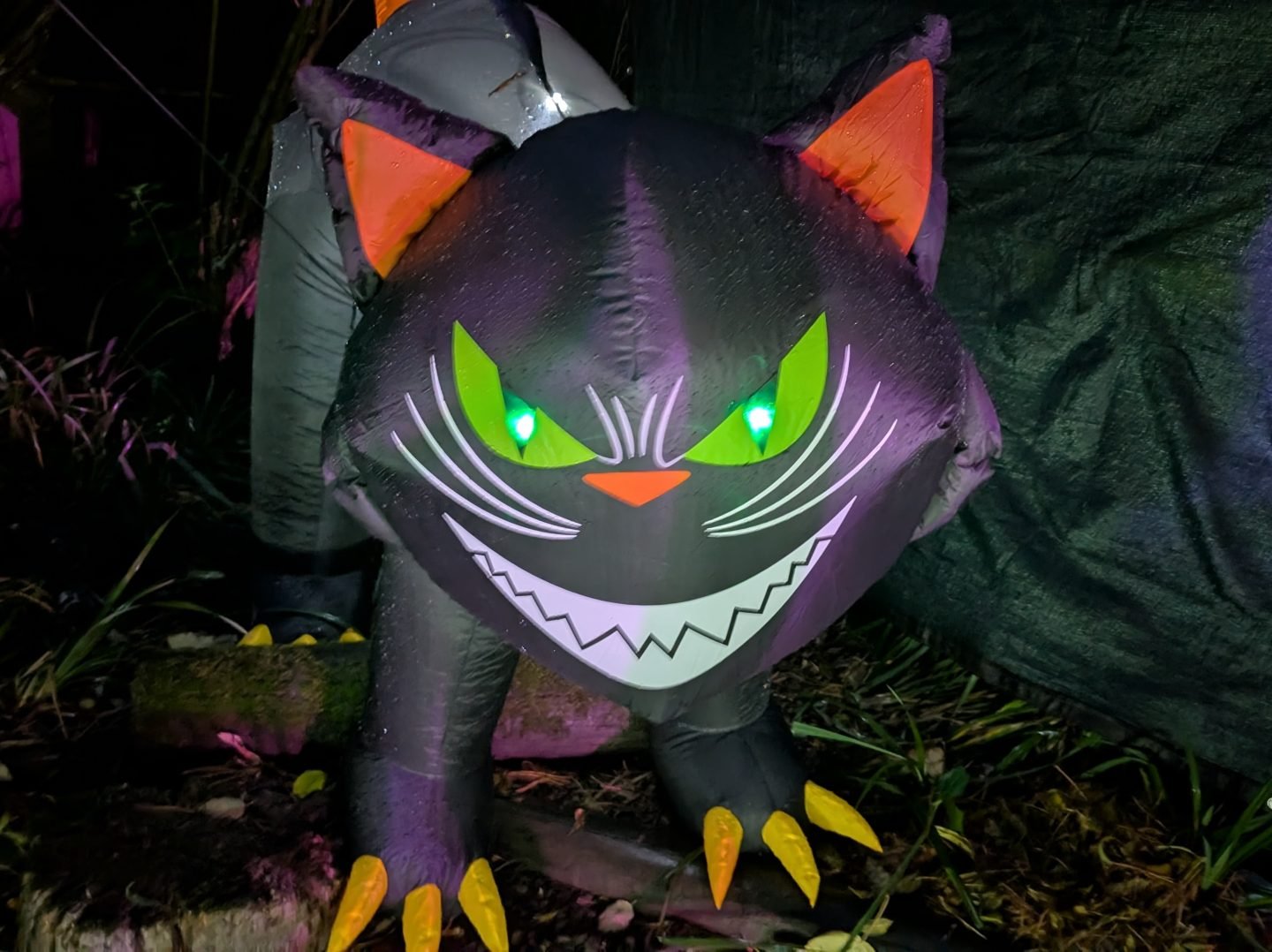 Inflatable black cat at Ralph Court Gardens Halloween evening event