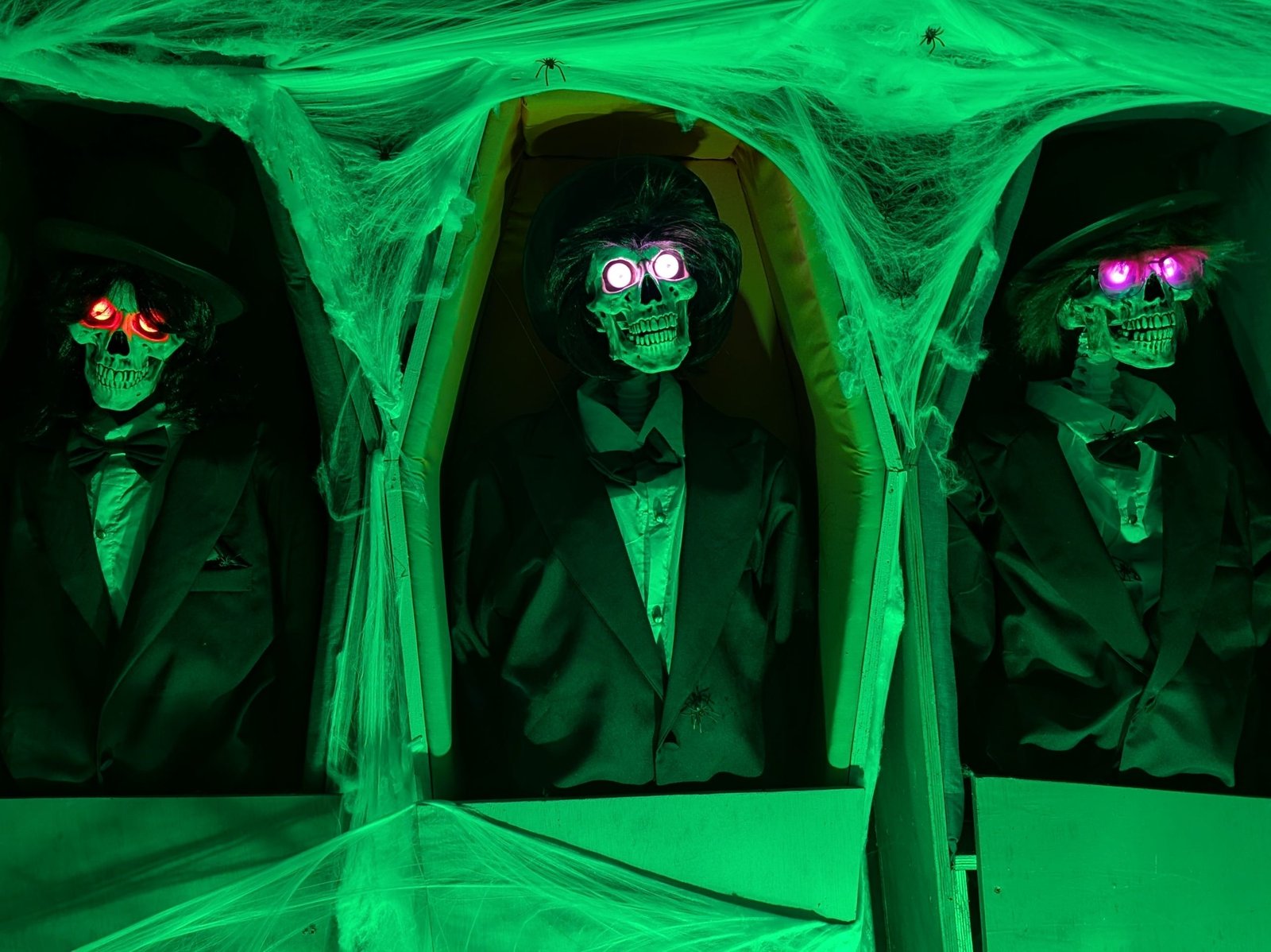 Skeletons at Ralph Court Gardens Halloween evening event