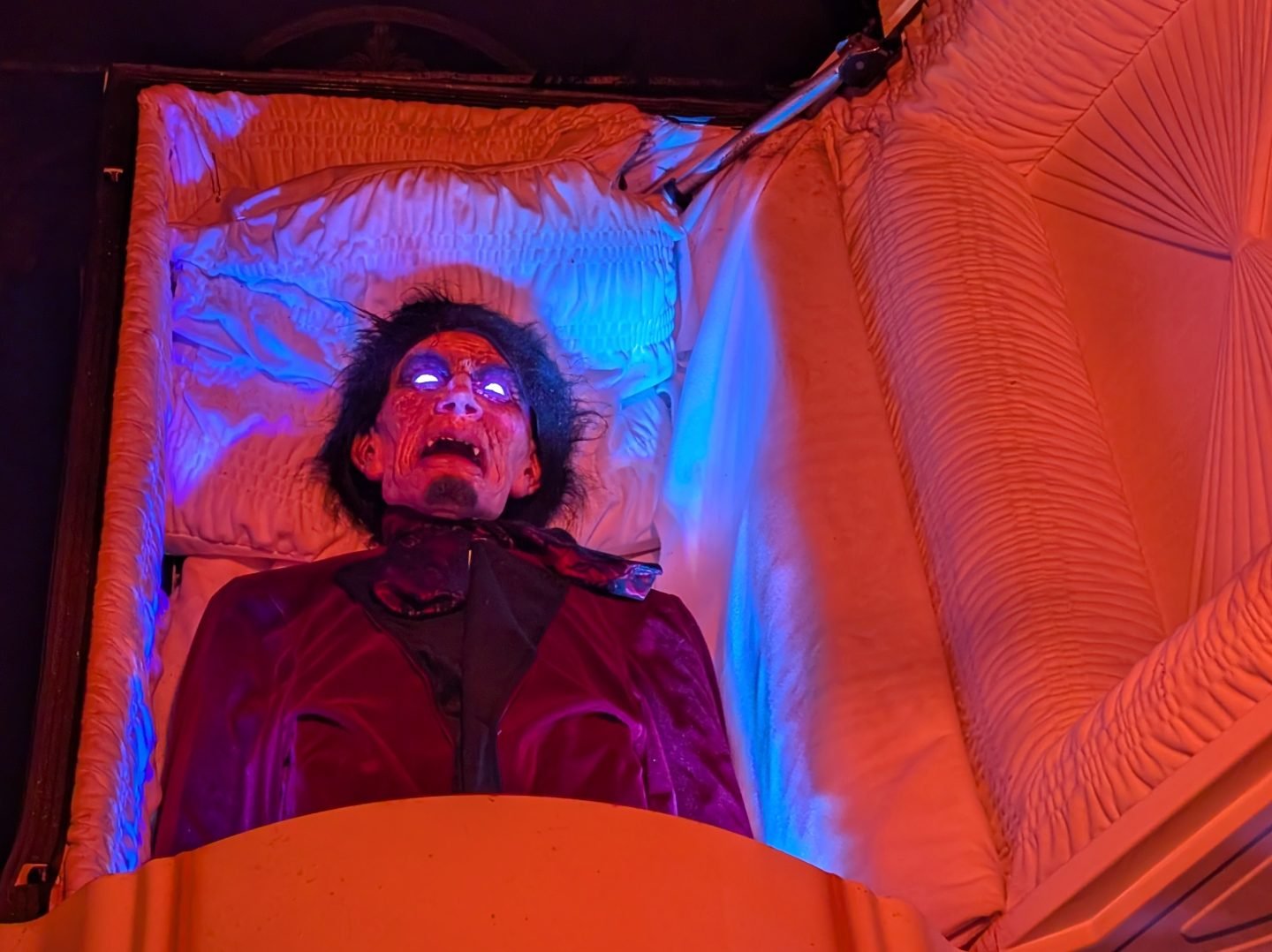 Dracula in coffin at Ralph Court Gardens Halloween evening event