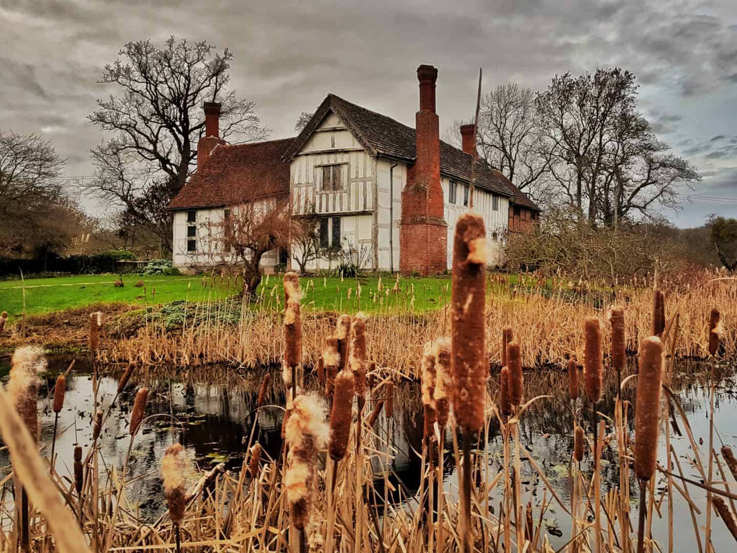 Dog walk by the pond at Brockhampton Manor